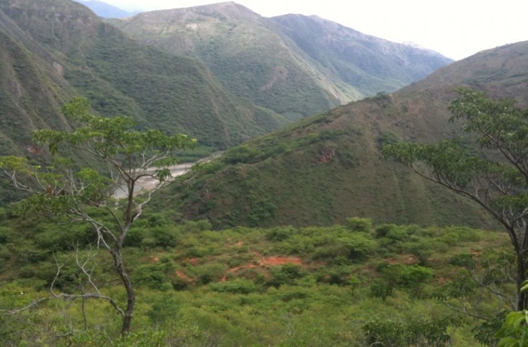 Ecuador Real Estate For Sale Viva Tropical